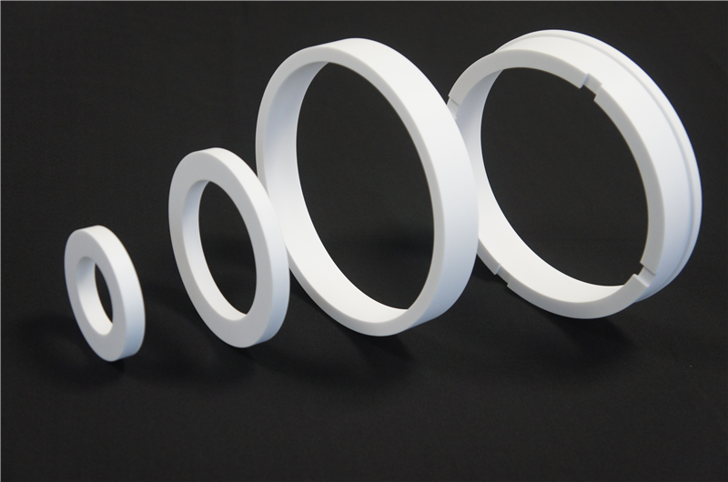 Ring Seals